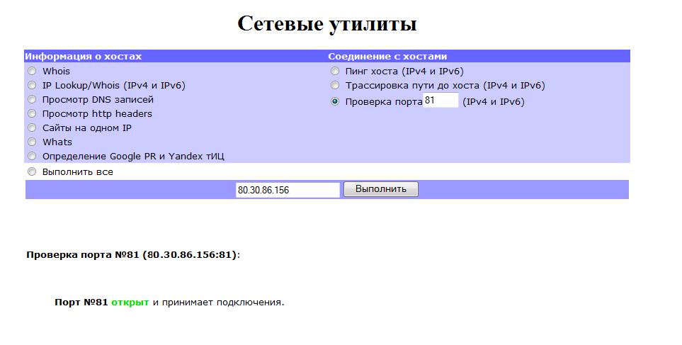 2шз проверить порт. Проверить Порты на открытость. Проверка портов 80. Проверка открытости порта по IP. Сетевой Жук для проверки порта.