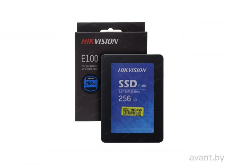 Жесткий диск HS-SSD-E100/256G